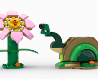 31377 Snail