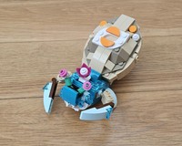 31385 Hermit crab
