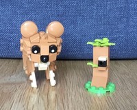 31376 Brown Bear