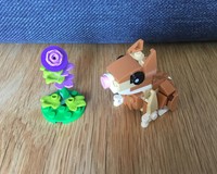31376 Rabbit