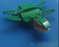 Sea Turtle