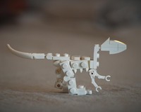 Allosaurus jimmadseni | 21320