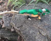 biologically accurate iguanna (corduroy)