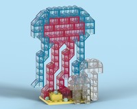 11040 Jellyfish