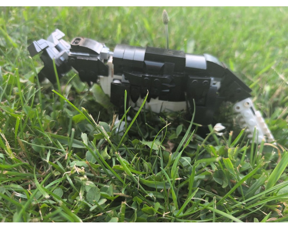 LEGO MOC-267751 simon- my border collie. canis lupus familiaris by ...