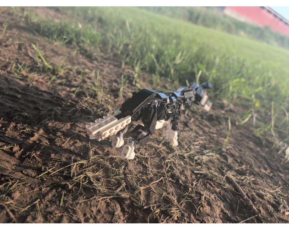 LEGO MOC-267751 simon- my border collie. canis lupus familiaris by ...
