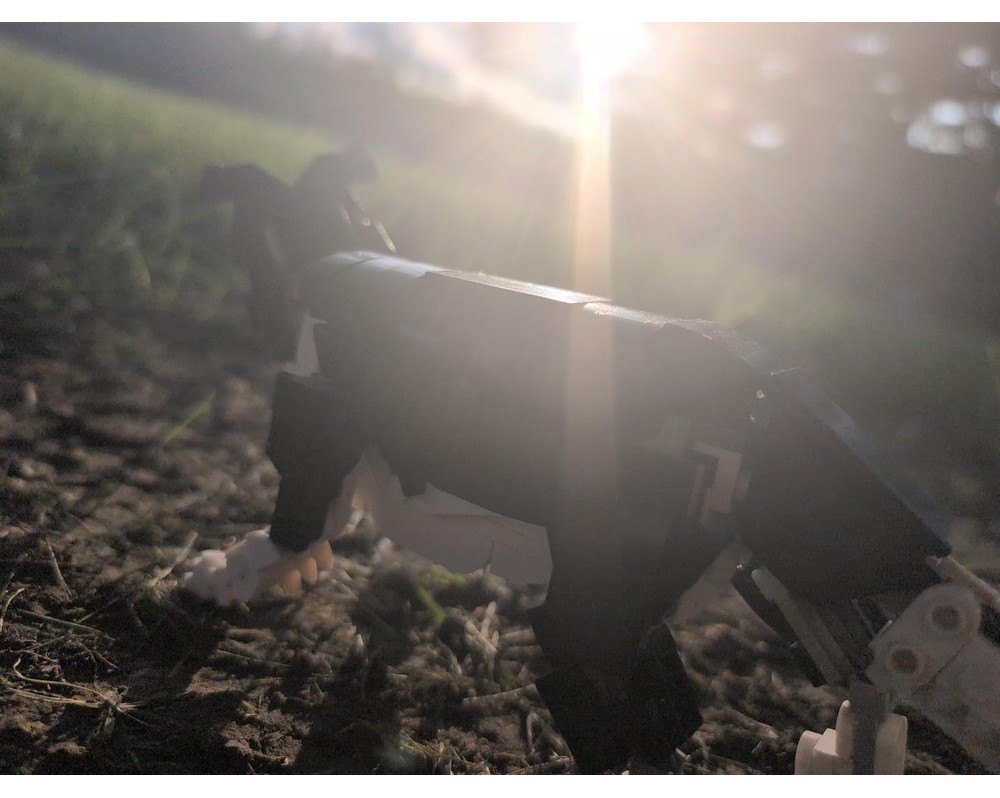 LEGO MOC-267751 simon- my border collie. canis lupus familiaris by ...