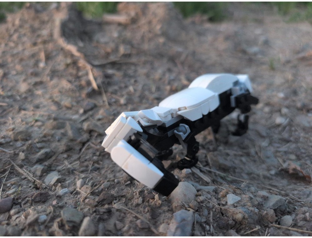 LEGO MOC-268277 honey badger (rattle) (newton) biologically accurate ...