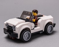75895 WildRider