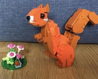 31394 Red Squirrel