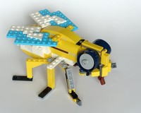 31064: Golden Fly