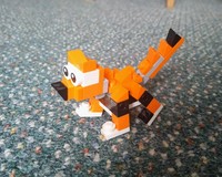 Tiny Wolf