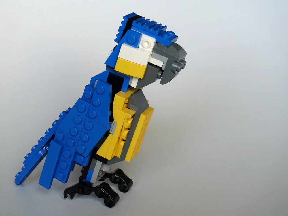 Model: 31087: Parrot