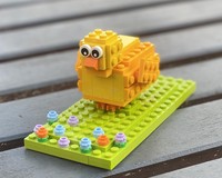 ugly duckling