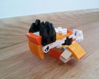 30571 bird