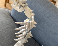 Cobra skeleton