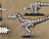 Alternative Dinosaurs for the Dinosaur Fossils (21320) Set: Allosaurus / Raptor , Ankylosaurus and a Pterosaur