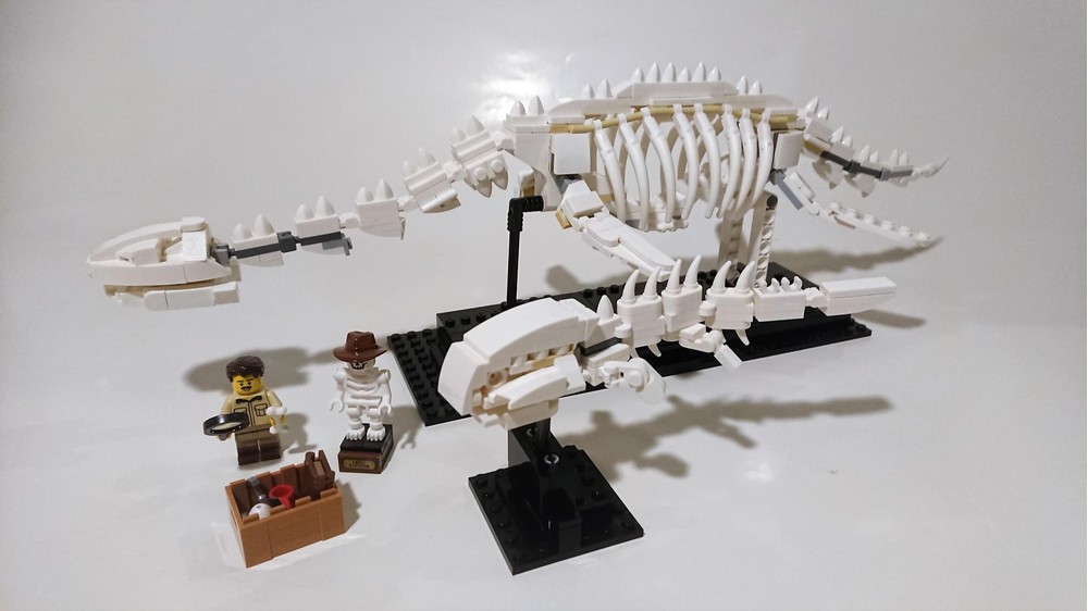 LEGO MOC Alternative Fossils of a Plesiosaurus and an armoured Fish for the set 21320 Dinosaur Fossils by S7evinDE Rebrickable Build with LEGO