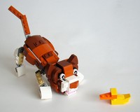 31044: Cat and Duck
