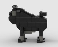 Black Pug