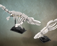 Ichthyosaur and Tusoteuthis skeleton - Dinosaur Fossils
