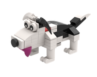 Border Collie X