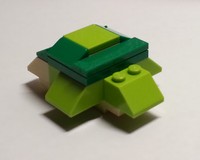 Simple Turtle
