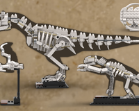 Carnotaurus, Megalonyx (Ground Sloth) & Pelagornis Skeleton + Trilobite - Alternative Build for 21320 Dinosaur Fossils