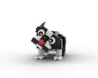 The American Gentleman - Boston Terrier V1