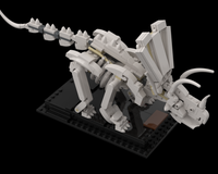 Torosaurus Fossil