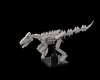 Australovenator Fossil