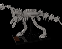 Muttaburrasaurus Fossil