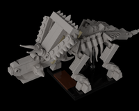 Arrhinoceratops fossil