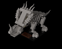Styracosaurus Fossil