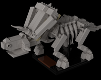 Anchiceratops Fossil