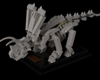 Pentaceratops Fossil