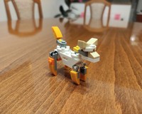 30571 Warriors dog
