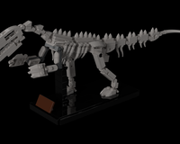 Baryonyx Fossil