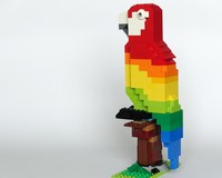 11005: Rainbow Parrot