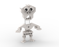 Skeleton