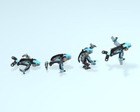 Stargazer Evolution