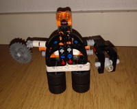 The robot