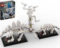 Stegosaurus, Ankylosaurus, and Archeopteryx (21320 alternate)