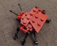 11943 Bug
