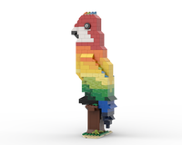 11011 Rainbow parrot