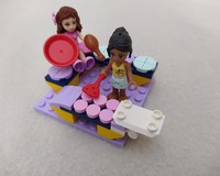 30556 BBQ with Friends