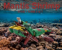 Mantis Shrimp 31102 + 31058 2 to 1