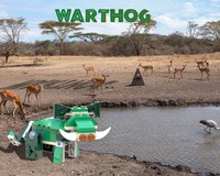Warthog
