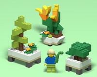 BYGGLEK Container Garden - Shrubs and Flowers