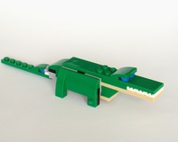 31056: Crocodile
